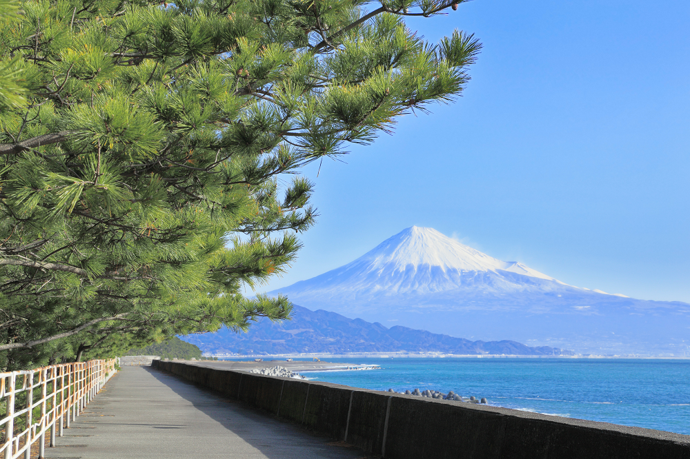 駿河湾(イメージ)